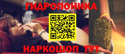 мяу мяу мука Донской