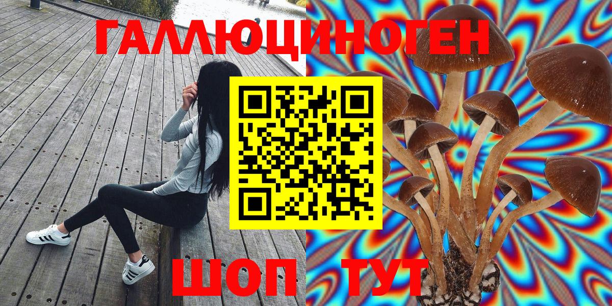 Назрань  Галлюциногенные грибы ЛСД  Галлюциногенные грибы мухоморы  Вход с VPN 