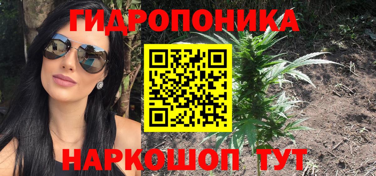 Канабис семена  Вход с VPN  Назрань  Бошки Шишки White Widow  Каннабис VHQ 